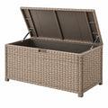 Arcón de almacenamiento 120 x 60 x 60 cm de ratán sintético beige para exterior con tapa elevable